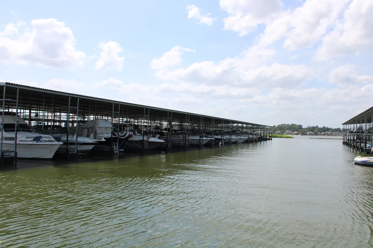 The view from the end of D Dock to open Lake Conroe